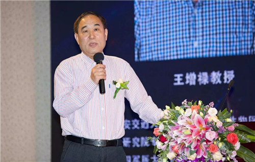 首届三八妇乐企业文化节华丽绽放深圳