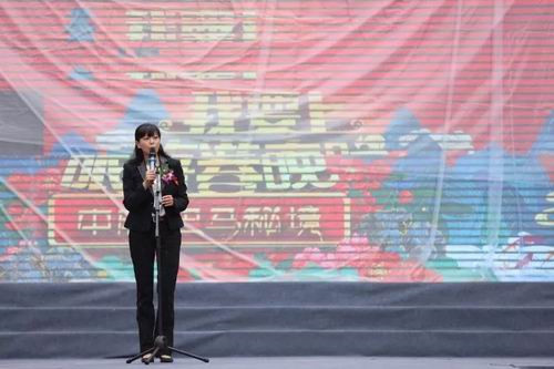 中脉巴马·秘境迎盛大开盘 火热盛况全城瞩目