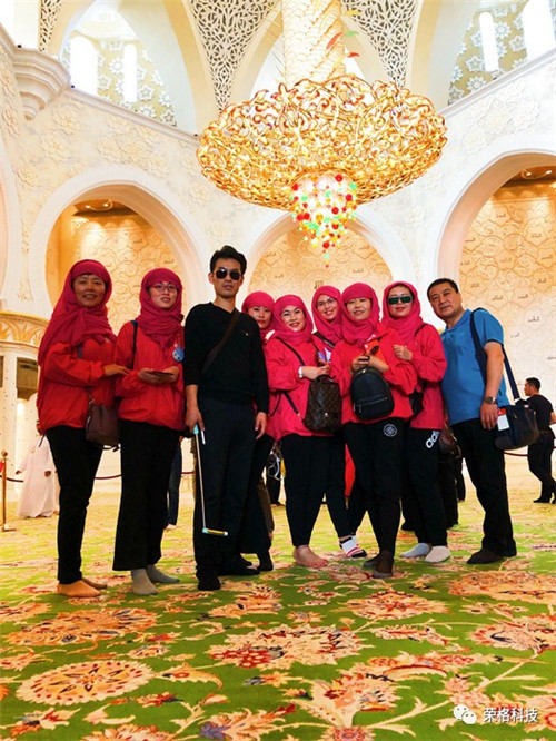 荣格2017迪拜埃及游——异域奢华之都，感受荣光绽放