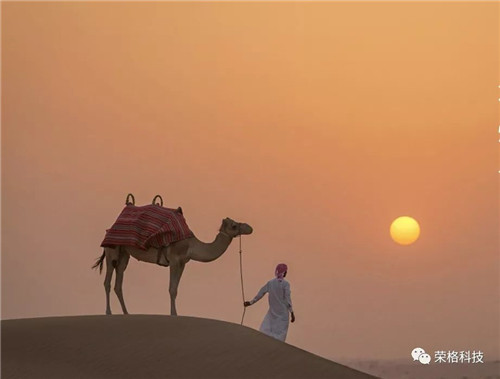 荣格2017迪拜埃及游——异域奢华之都，感受荣光绽放