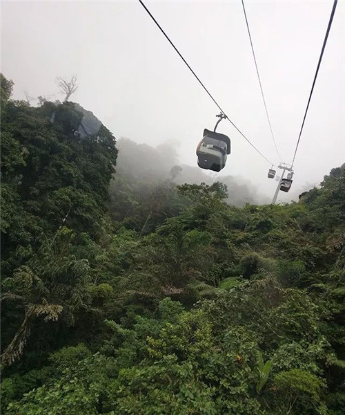 2017绿之韵营销精英新马尊贵之旅圆满收官