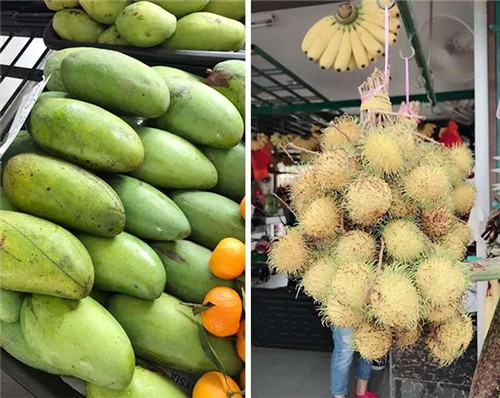 2017绿之韵营销精英新马尊贵之旅圆满收官