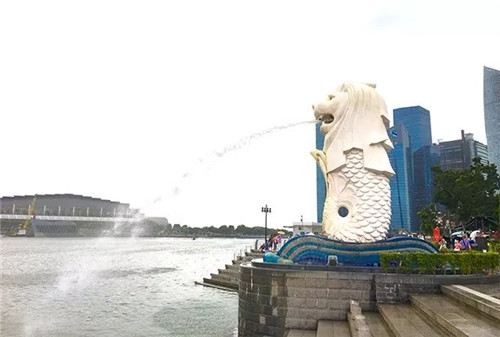 2017绿之韵营销精英新马尊贵之旅圆满收官