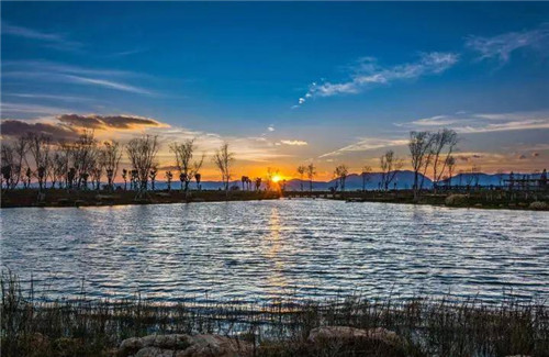 昆明市发改委主任李肇圣莅临理想，对市人大代表焦家良《建议把昆明打造成“健康中国”的领军城市》议案调研