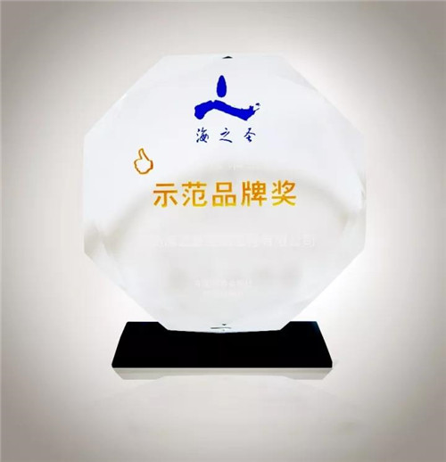 海之圣荣获2017年度消费者点赞示范品牌奖