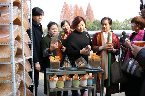 炎帝总公司领导和市场精英参观常德子公司研发基地