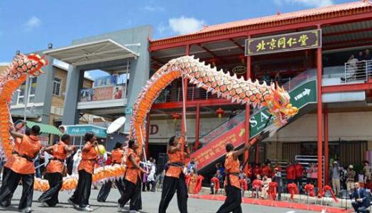 南非中药市场潜力大 北京同仁堂南非广开门店拟建药材厂