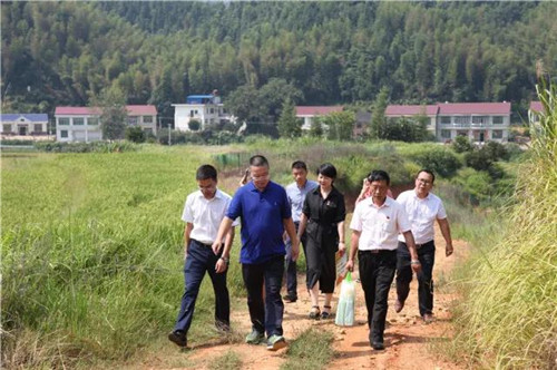 绿之韵：“党建”就是生产力，用行动不忘初心