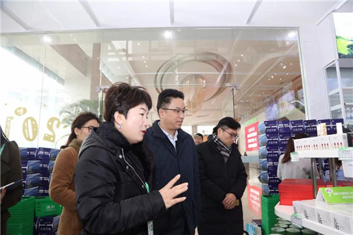 台州湾集聚区管委会副主任卢茂良莅临绿叶推进绿叶台州项目规划