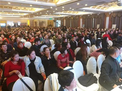 暖意融融|金日东北地区新春团拜会隆重举行