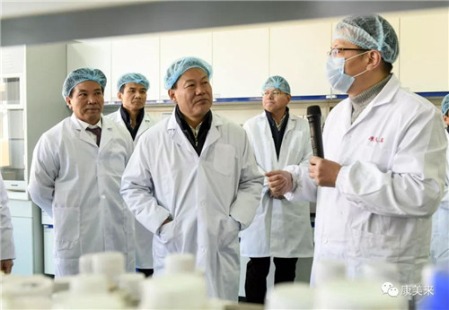 六安市代市长叶露中调研康美来集团