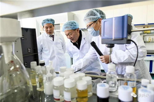 六安市代市长叶露中调研康美来集团