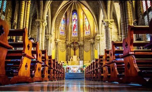 带着梦想去旅行——绿之韵营销精英2018越南芽庄荣耀之旅圆满收官