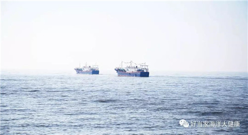 一带一路 精彩“鱿”我 — 好当家第一批远洋灯光鱿钓船顺利出海