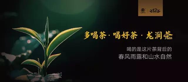 理想科技龙润茶即将登陆CCTV展现中国好茶