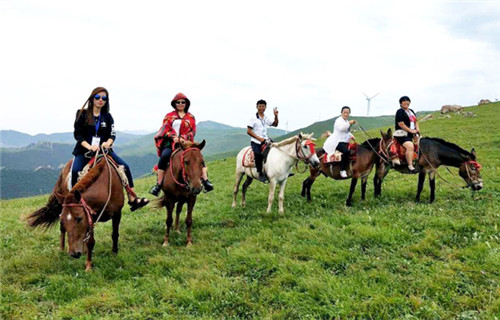 绿之韵：梦想旅行，用脚步丈量世界