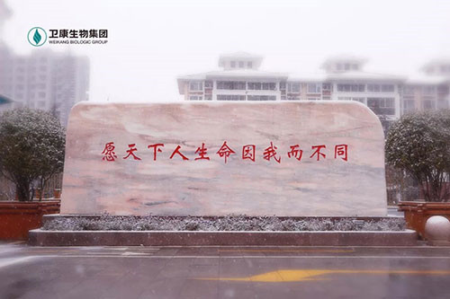 卫康构建大健康矩阵 以梦为马 助梦天下人