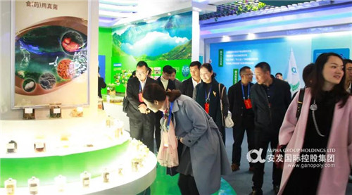 福建省十三届人大代表莅临安发生物考察调研