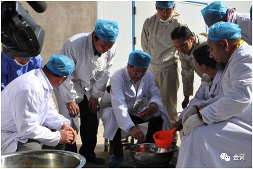 金诃藏药又一项炮制技艺入选青海省非遗名录