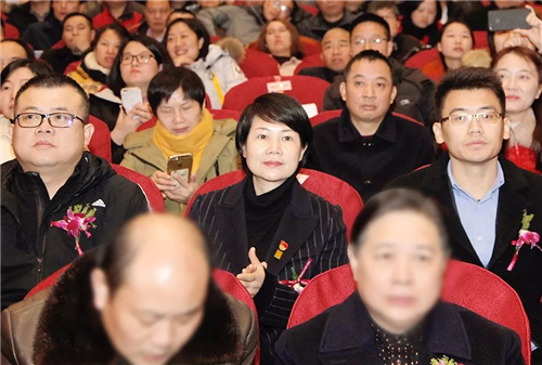 浏阳经开区2018年经济工作会议成功召开，绿之韵集团揽获多项殊荣