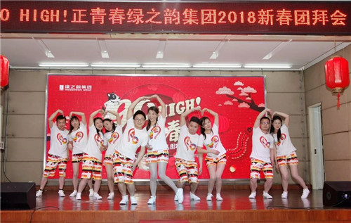绿之韵集团2017年度员工总结表彰暨新春团拜会隆重举行