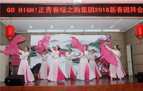 绿之韵集团2017年度员工总结表彰暨新春团拜会隆重举行