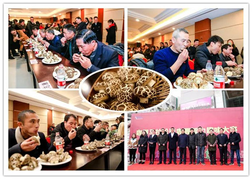 欢乐“五个一” 安惠2018员工年会隆重举行