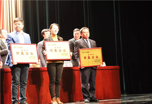 安然公司蝉联威海市“纳税明星企业”荣誉称号