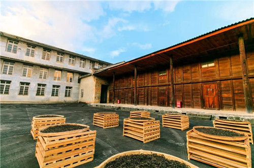 理想科技龙润茶喜获“昆明市普洱茶产业化工程技术研究中心”牌