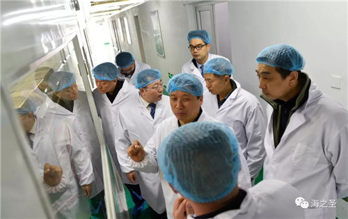 中国退役士兵就业创业服务促进会领导莅临海之圣参观指导