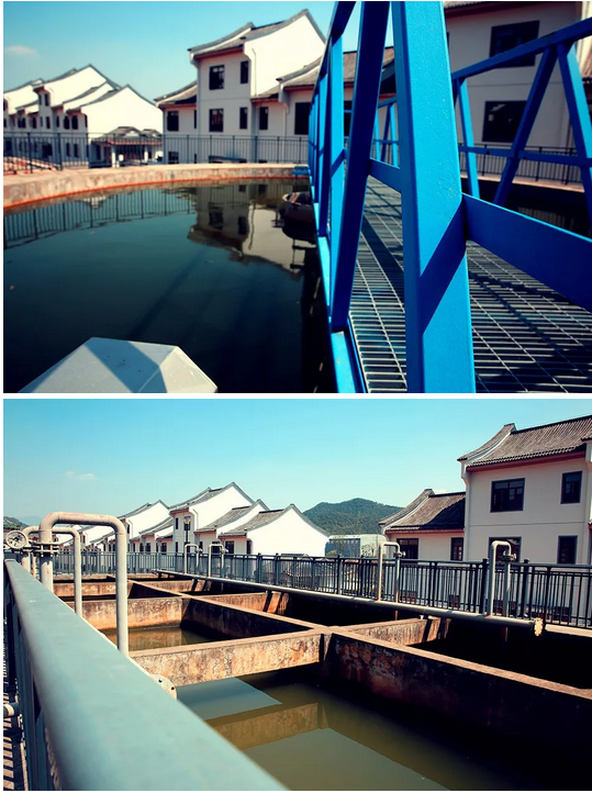 探班新厂建设——致中和全球直销运营中心