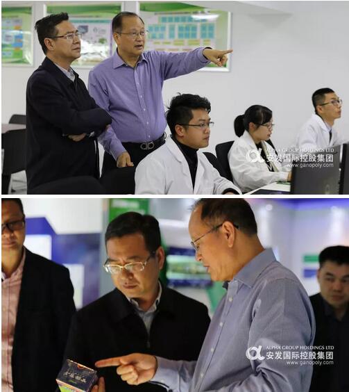 中国侨联秘书长陈迈莅临安发生物考察调研