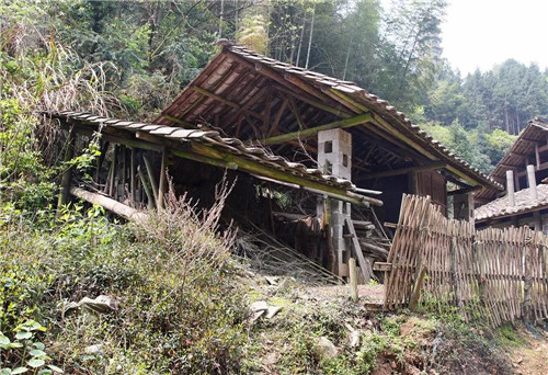 绿之韵胡国安董事长善捐60万助力家乡建设