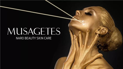 安然发布精彩“1+6”升级计划，助力2.0时代扬帆远航