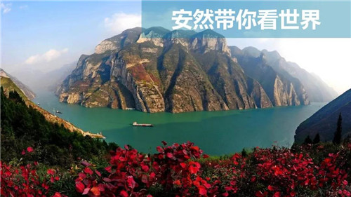 安然发布精彩“1+6”升级计划，助力2.0时代扬帆远航