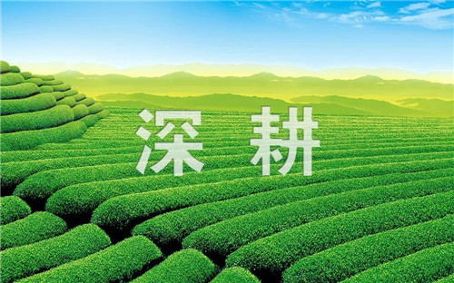 安然发布精彩“1+6”升级计划，助力2.0时代扬帆远航