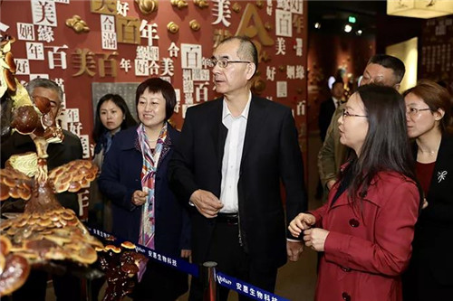 中国侨联顾问王宏一行参观安惠中华灵芝文化馆