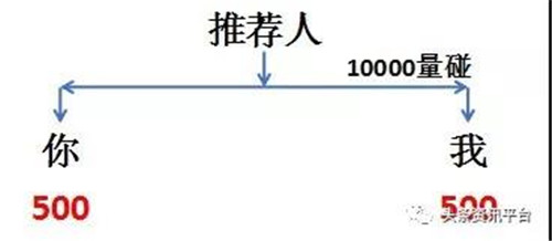 江苏菇神生物科技有限公司涉水直销