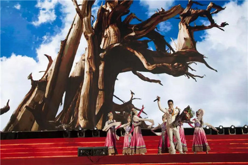 安然钻石国际六周年 百战归来启华章