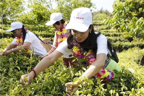 理想科技创业精英千年茶乡探秘之旅·第二季盛大起航