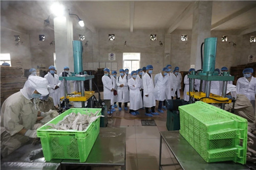 理想科技创业精英千年茶乡探秘之旅·第二季盛大起航