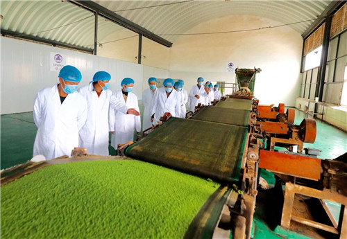 理想科技创业精英千年茶乡探秘之旅·第二季盛大起航