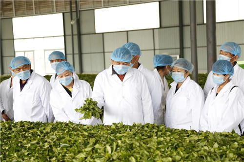 理想科技创业精英千年茶乡探秘之旅·第二季盛大起航