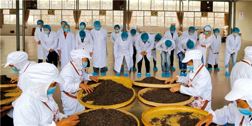 理想科技创业精英千年茶乡探秘之旅·第二季盛大起航