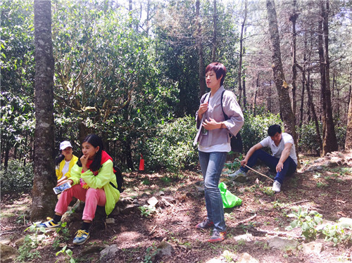 理想科技创业精英千年茶乡探秘之旅·第二季盛大起航