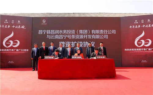 全国茶人齐聚昌宁，见证龙润昌宁茶厂六十周年芳华岁月