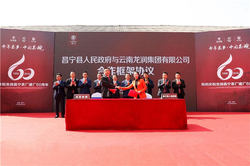 全国茶人齐聚昌宁，见证龙润昌宁茶厂六十周年芳华岁月