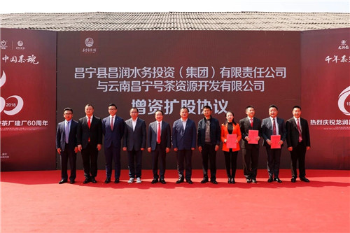 全国茶人齐聚昌宁，见证龙润昌宁茶厂六十周年芳华岁月