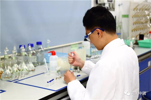 持续精进,完美质量管理小组再获金奖