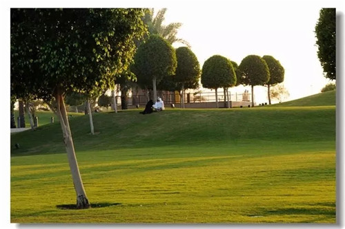 隆力奇瑞和国际迪拜奢华游